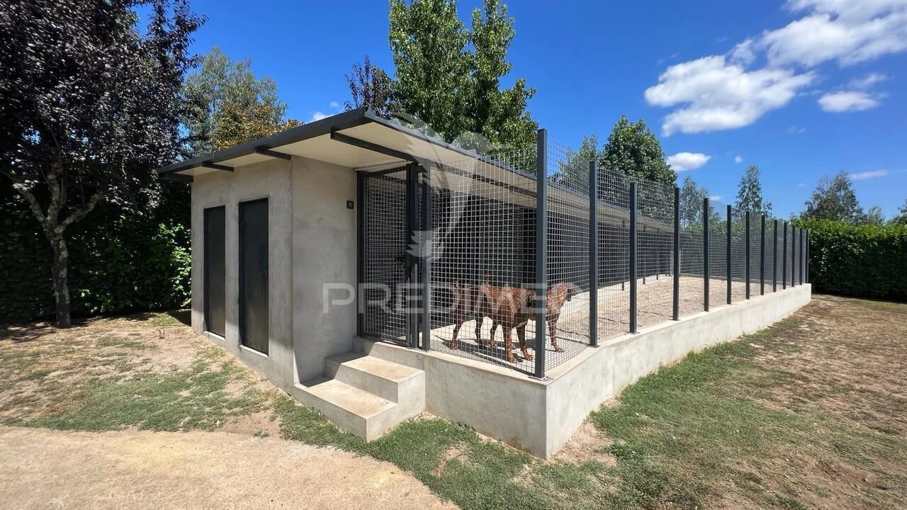 Quinta T4 para Venda em Sande Vila Nova e Sande São Clemente Foto 24