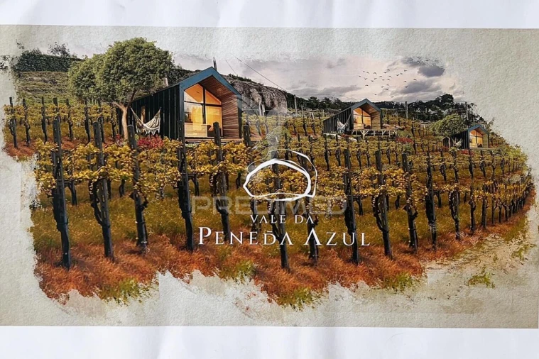 Quinta T4 para Venda em Sande Vila Nova e Sande São Clemente Foto 27