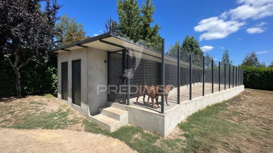 Quinta T4 para Venda em Sande Vila Nova e Sande São Clemente Foto 35