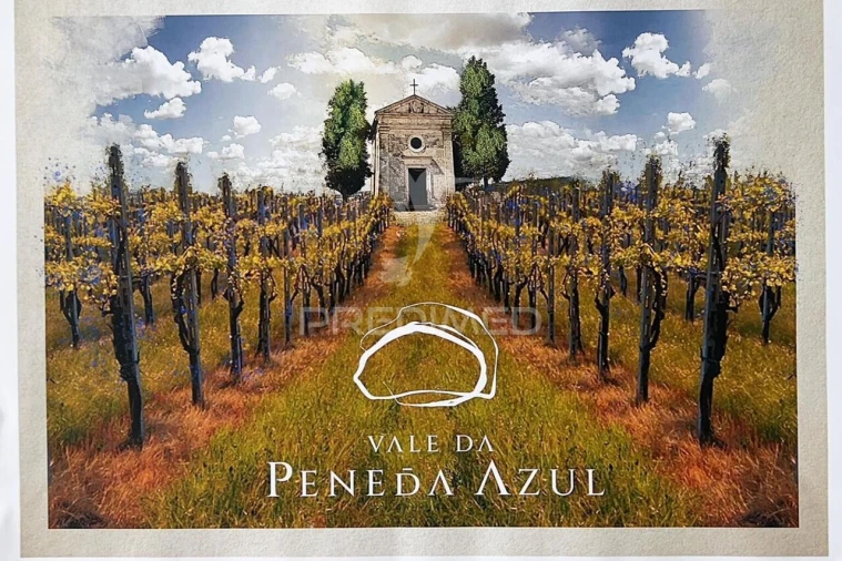 Quinta T4 para Venda em Sande Vila Nova e Sande São Clemente Foto 25