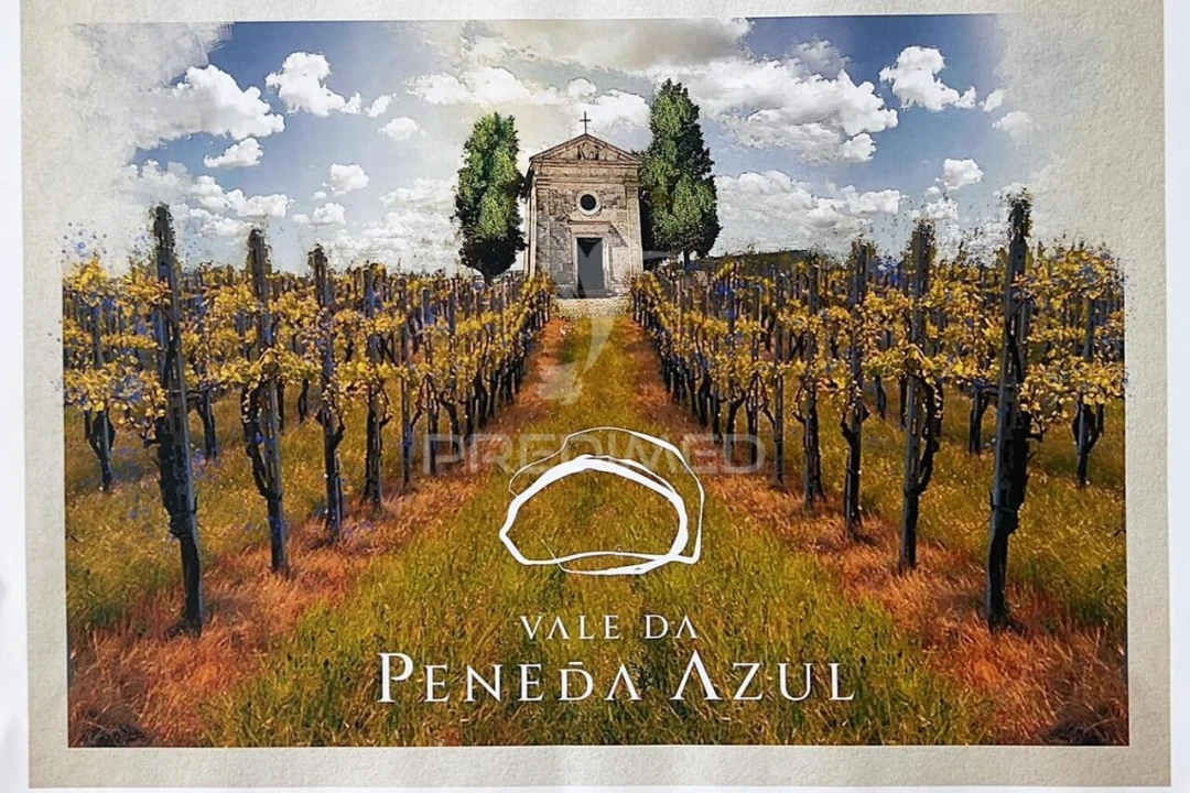 Quinta T4 para Venda em Sande Vila Nova e Sande São Clemente Foto 25