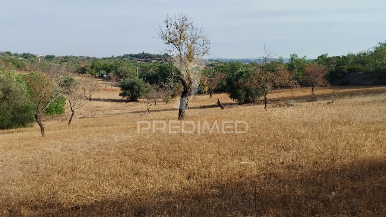 Terreno para Venda em Conceição e Estoi Foto 1