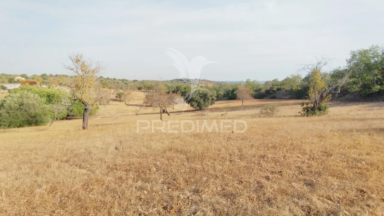 Terreno para Venda em Conceição e Estoi Foto 4