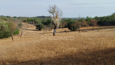 Terreno para Venda em Conceição e Estoi