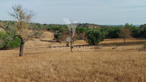 Terreno para Venda em Conceição e Estoi