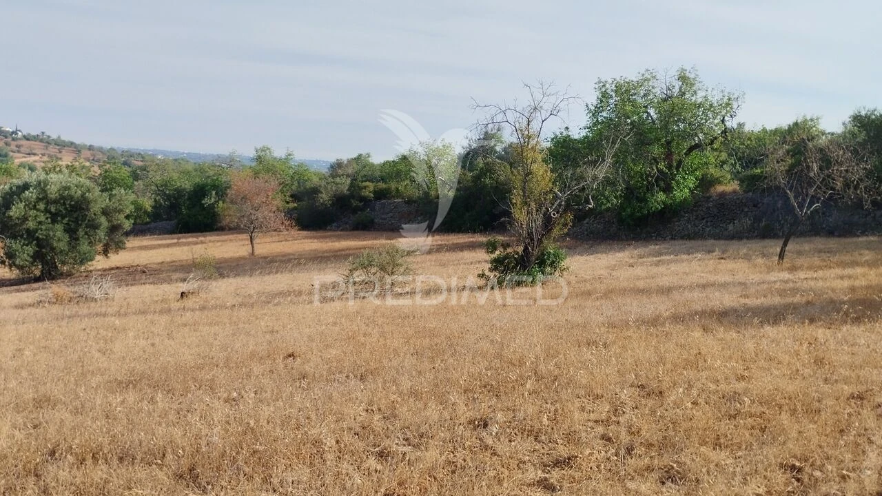Terreno para Venda em Conceição e Estoi Foto 3