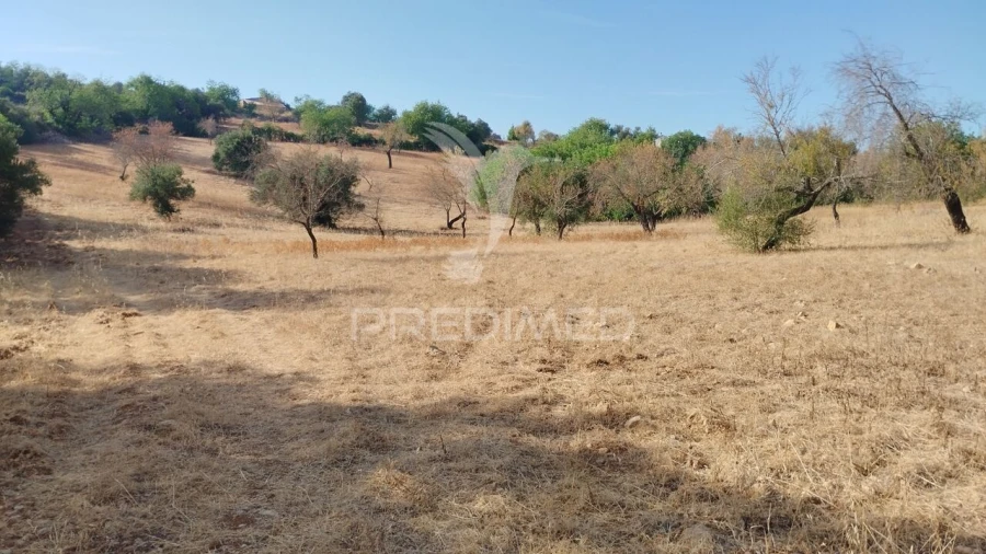 Terreno para Venda em Conceição e Estoi Foto 9