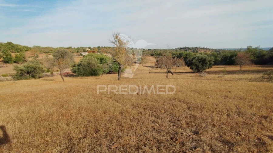 Terreno para Venda em Conceição e Estoi Foto 5