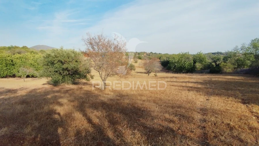 Terreno para Venda em Conceição e Estoi Foto 6