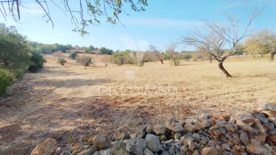 Terreno para Venda em Conceição e Estoi Foto 8