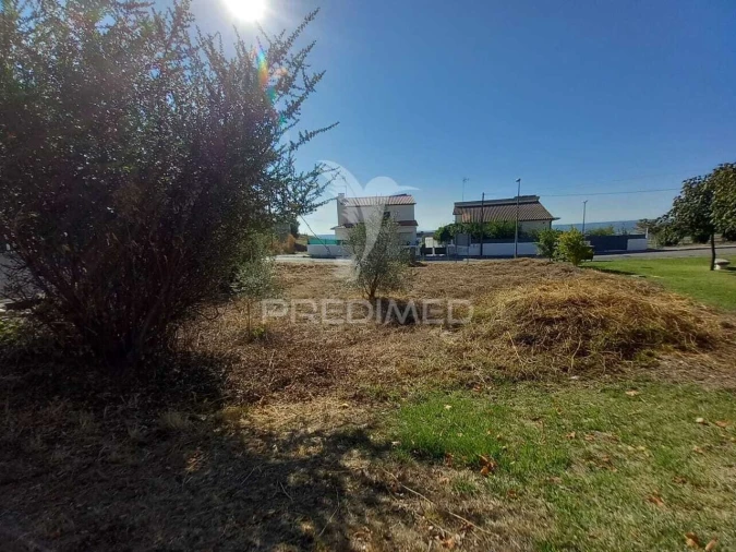 Terreno para Venda em Abrantes (São Vicente e São João) e Alferrarede Foto 8
