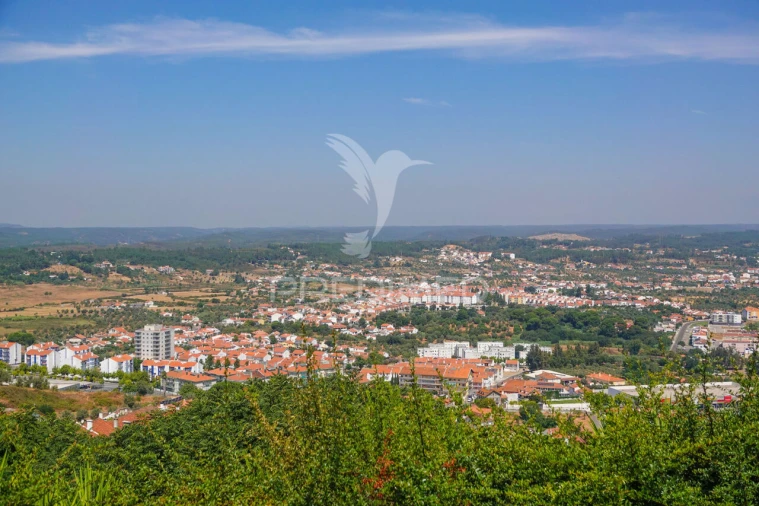 Terreno para Venda em Abrantes (São Vicente e São João) e Alferrarede Foto 14