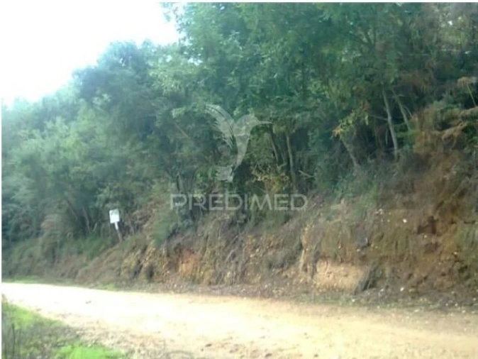 Terreno para Venda em Águeda e Borralha