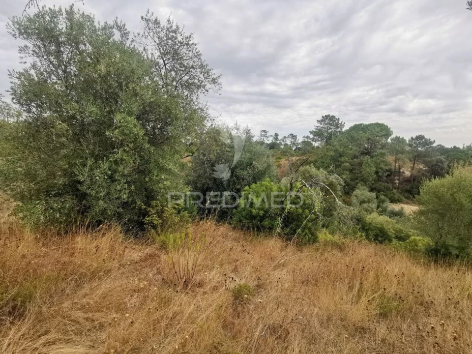 Terreno para Venda em Madalena e Beselga Foto 12