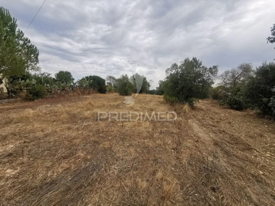 Terreno para Venda em Madalena e Beselga Foto 5
