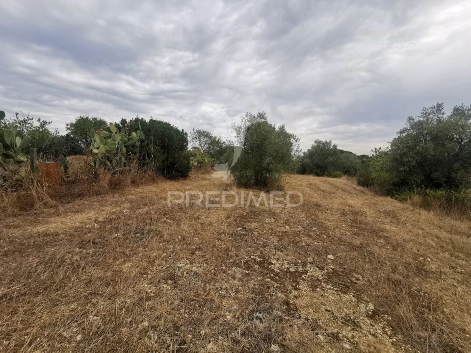Terreno para Venda em Madalena e Beselga Foto 6