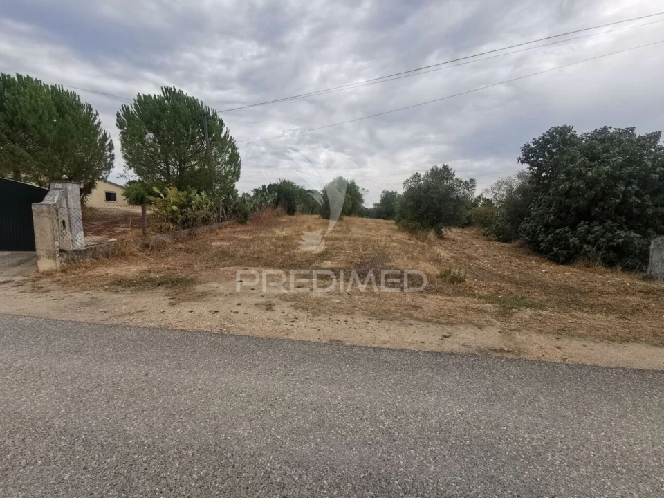 Terreno para Venda em Madalena e Beselga Foto 1