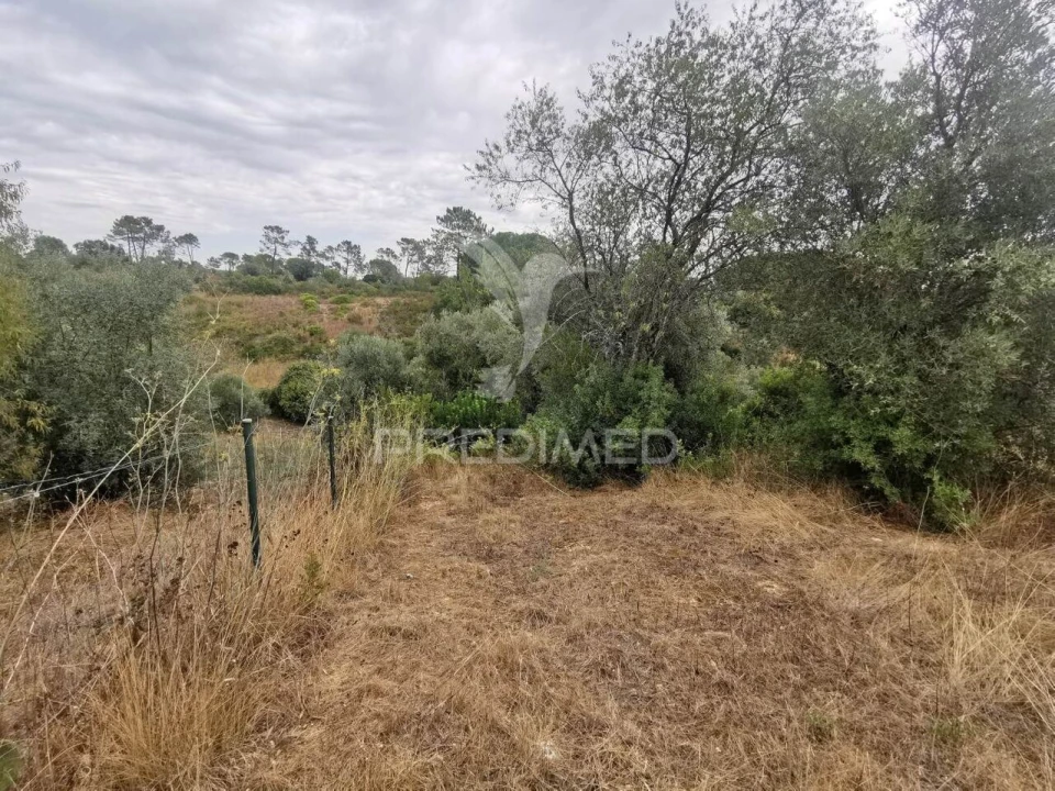 Terreno para Venda em Madalena e Beselga Foto 15