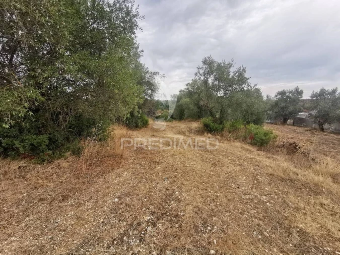 Terreno para Venda em Madalena e Beselga Foto 8