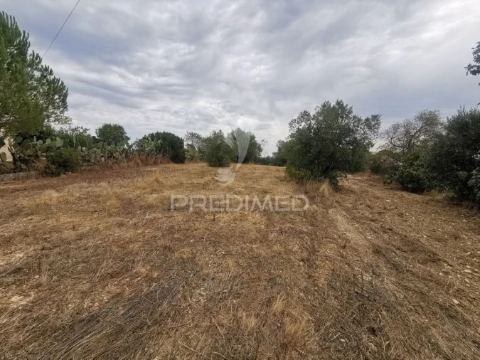 Terreno para Venda em Madalena e Beselga Foto 5