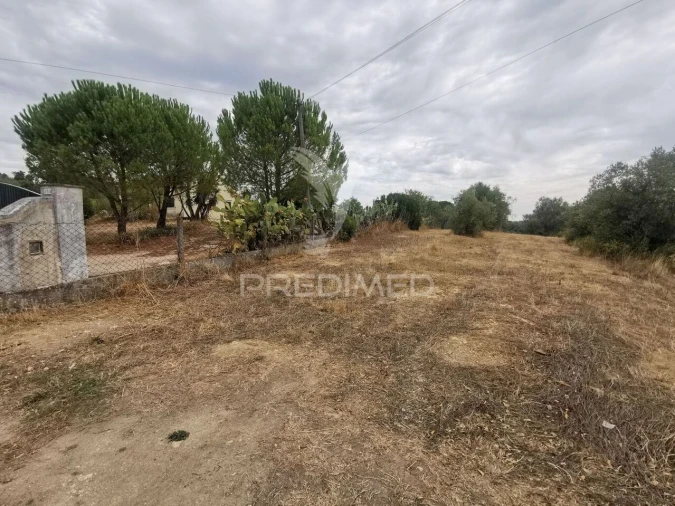 Terreno para Venda em Madalena e Beselga Foto 2