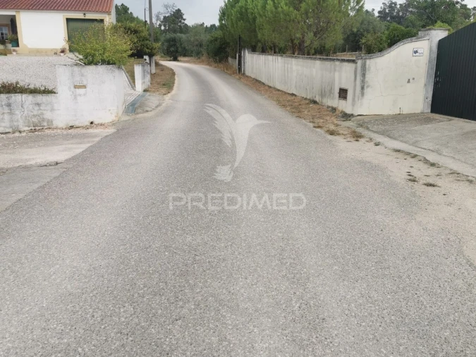 Terreno para Venda em Madalena e Beselga Foto 16