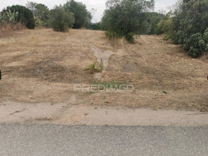 Terreno para Venda em Madalena e Beselga Foto 17