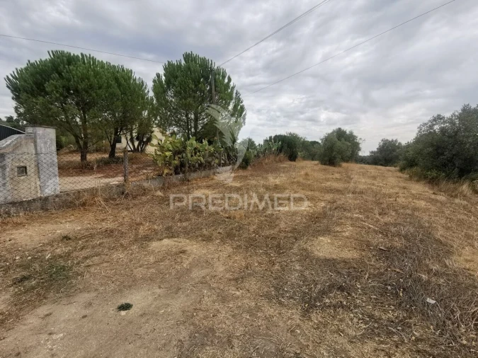 Terreno para Venda em Madalena e Beselga Foto 3