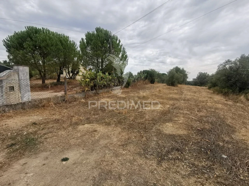 Terreno para Venda em Madalena e Beselga Foto 3