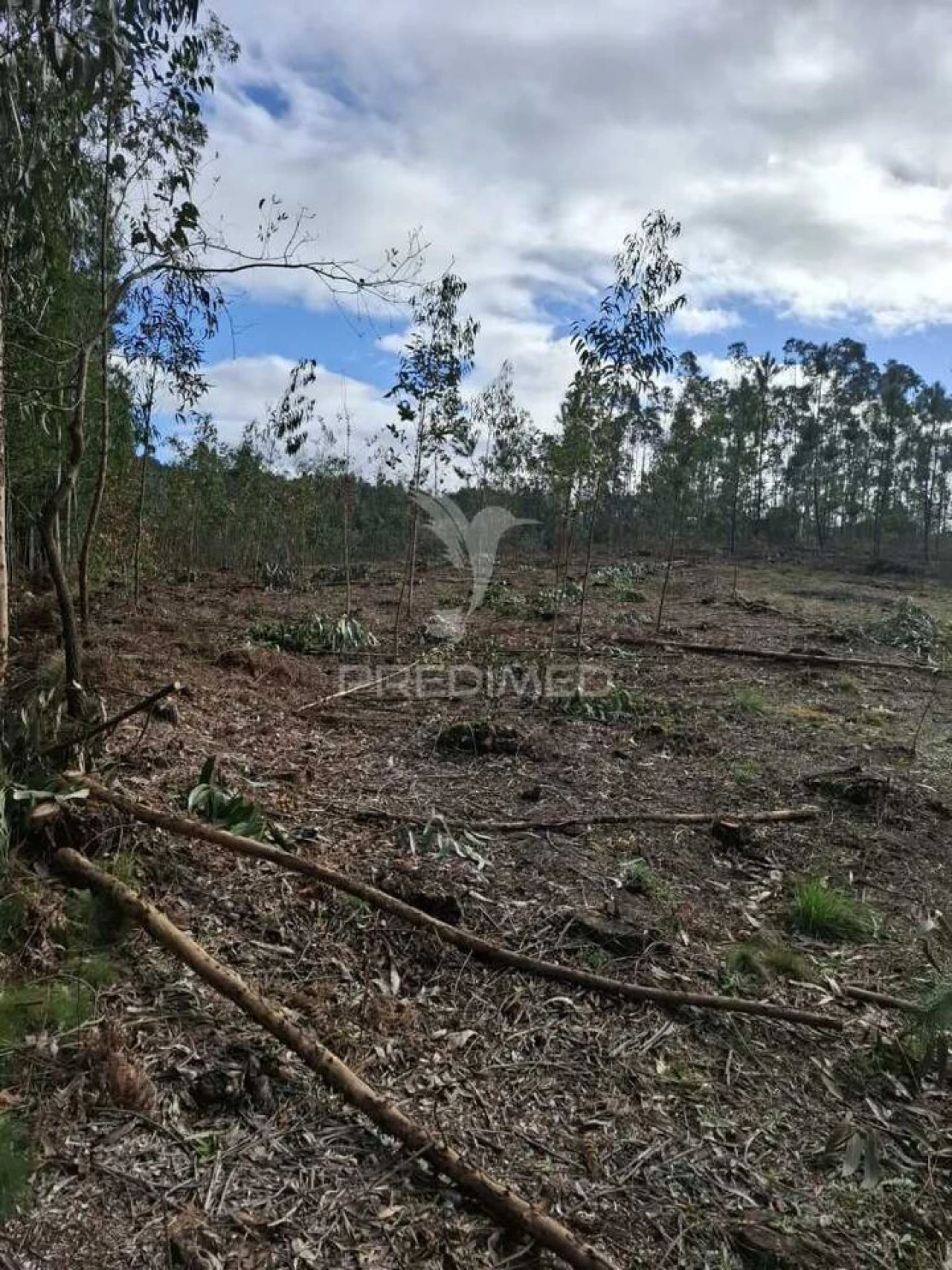 Terreno para Venda em Pedroso e Seixezelo Foto 3