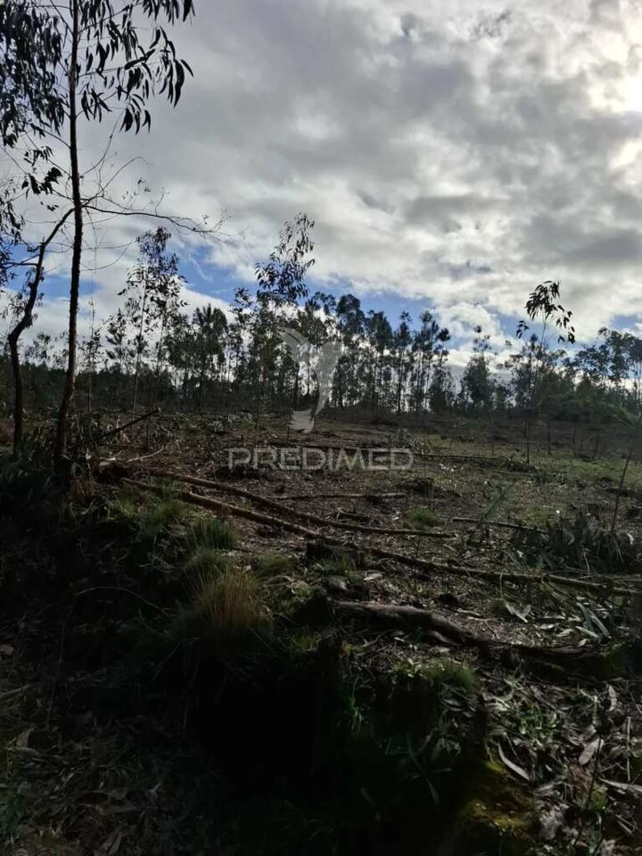 Terreno para Venda em Pedroso e Seixezelo Foto 8