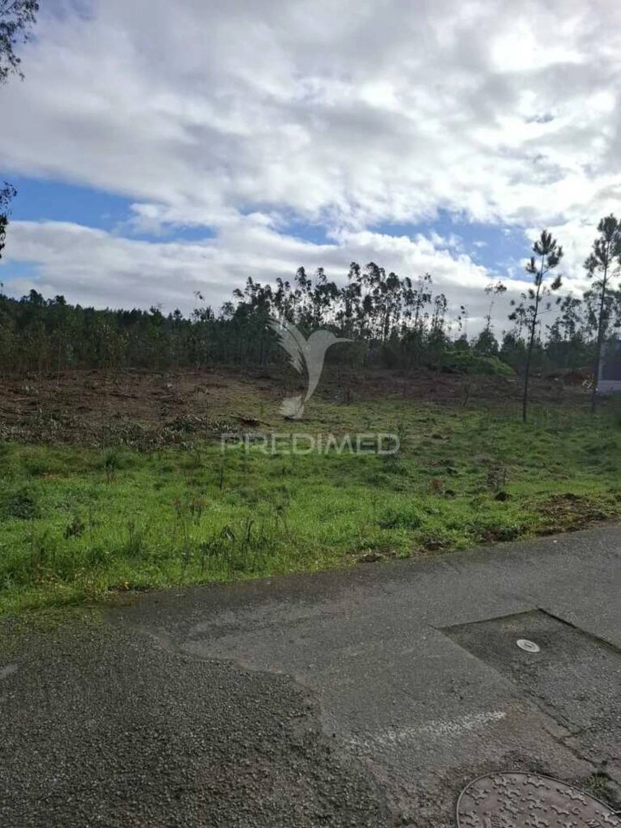 Terreno para Venda em Pedroso e Seixezelo Foto 4