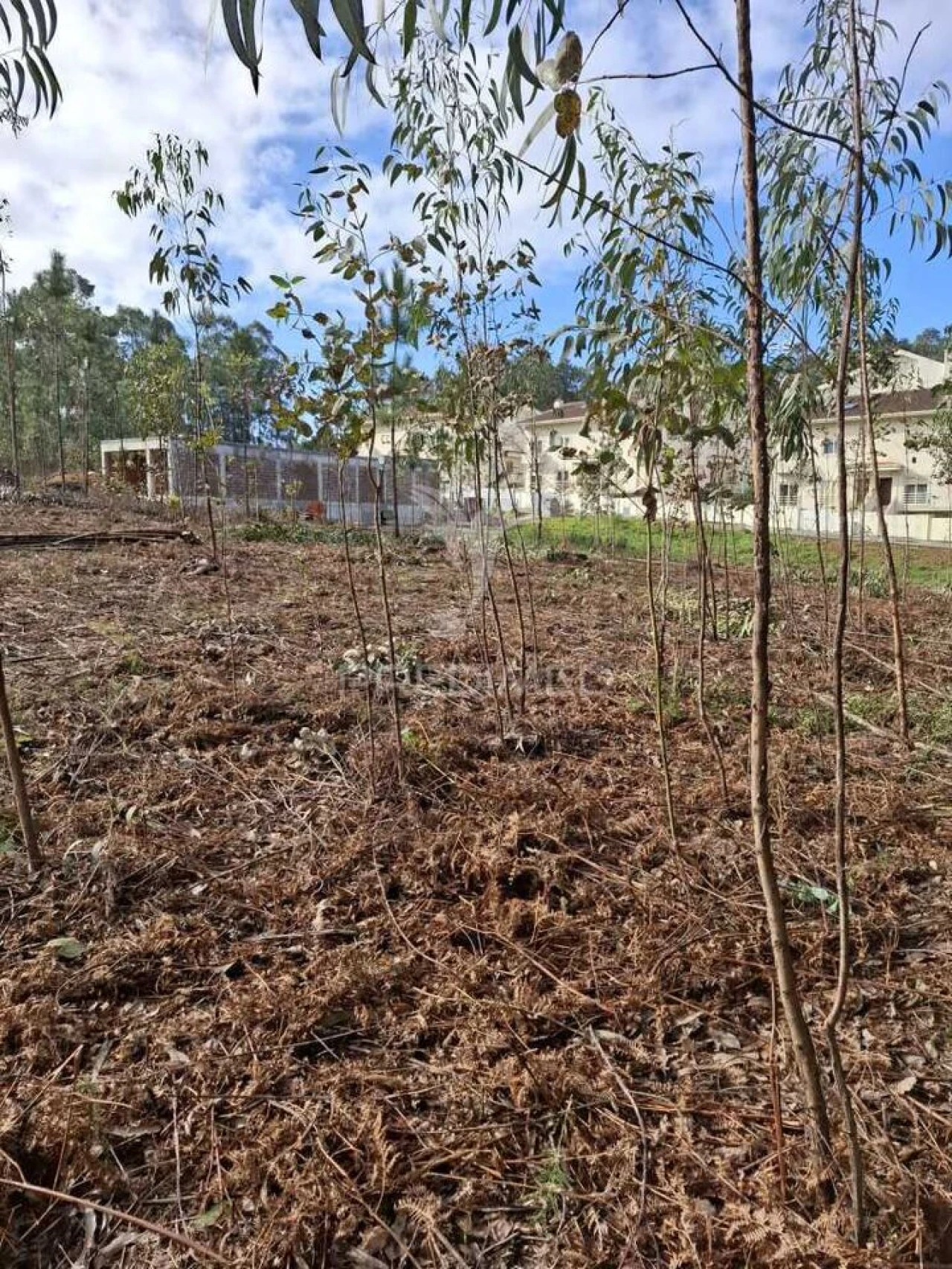 Terreno para Venda em Pedroso e Seixezelo Foto 13