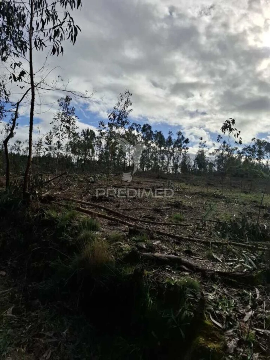 Terreno para Venda em Pedroso e Seixezelo Foto 8