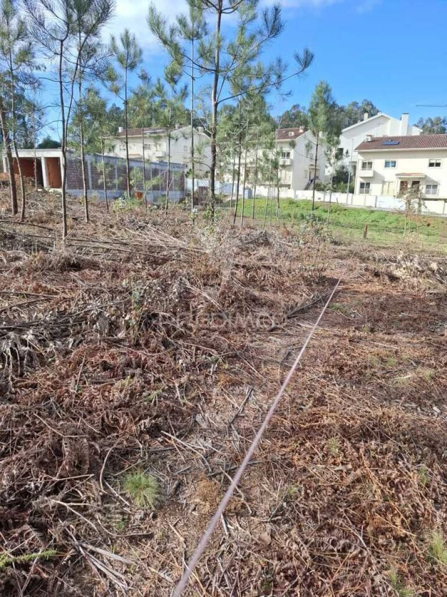 Terreno para Venda em Pedroso e Seixezelo Foto 2