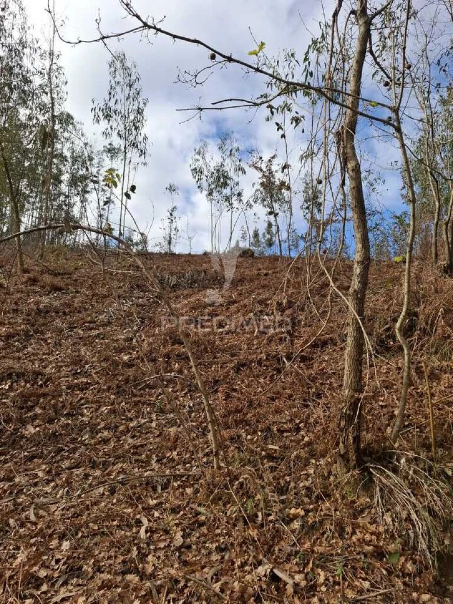 Terreno para Venda em Pedroso e Seixezelo Foto 16