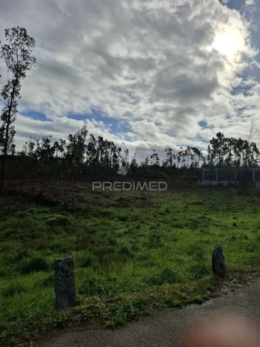 Terreno para Venda em Pedroso e Seixezelo Foto 10