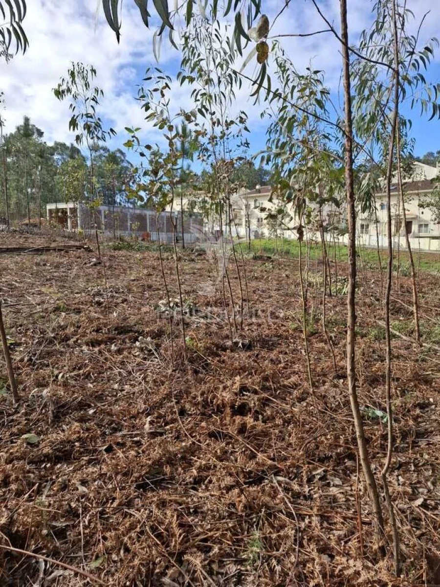 Terreno para Venda em Pedroso e Seixezelo Foto 13