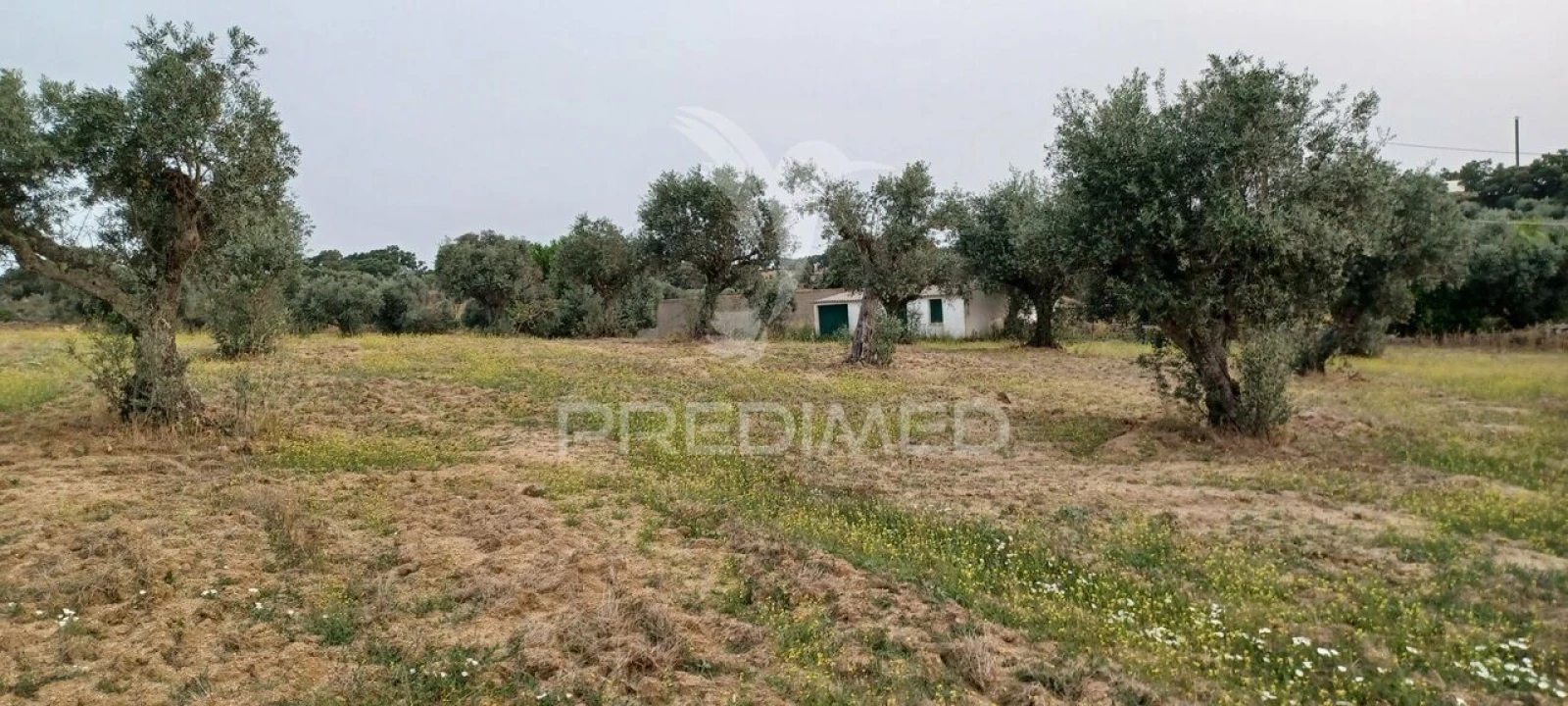 Terreno para Venda em Espírito Santo, Nossa Senhora da Graça e São Simão Foto 6