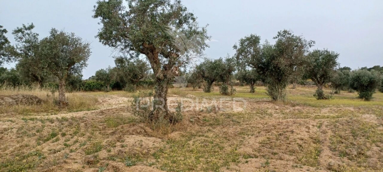 Terreno para Venda em Espírito Santo, Nossa Senhora da Graça e São Simão Foto 9
