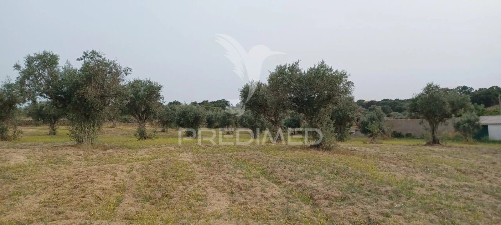 Terreno para Venda em Espírito Santo, Nossa Senhora da Graça e São Simão Foto 8