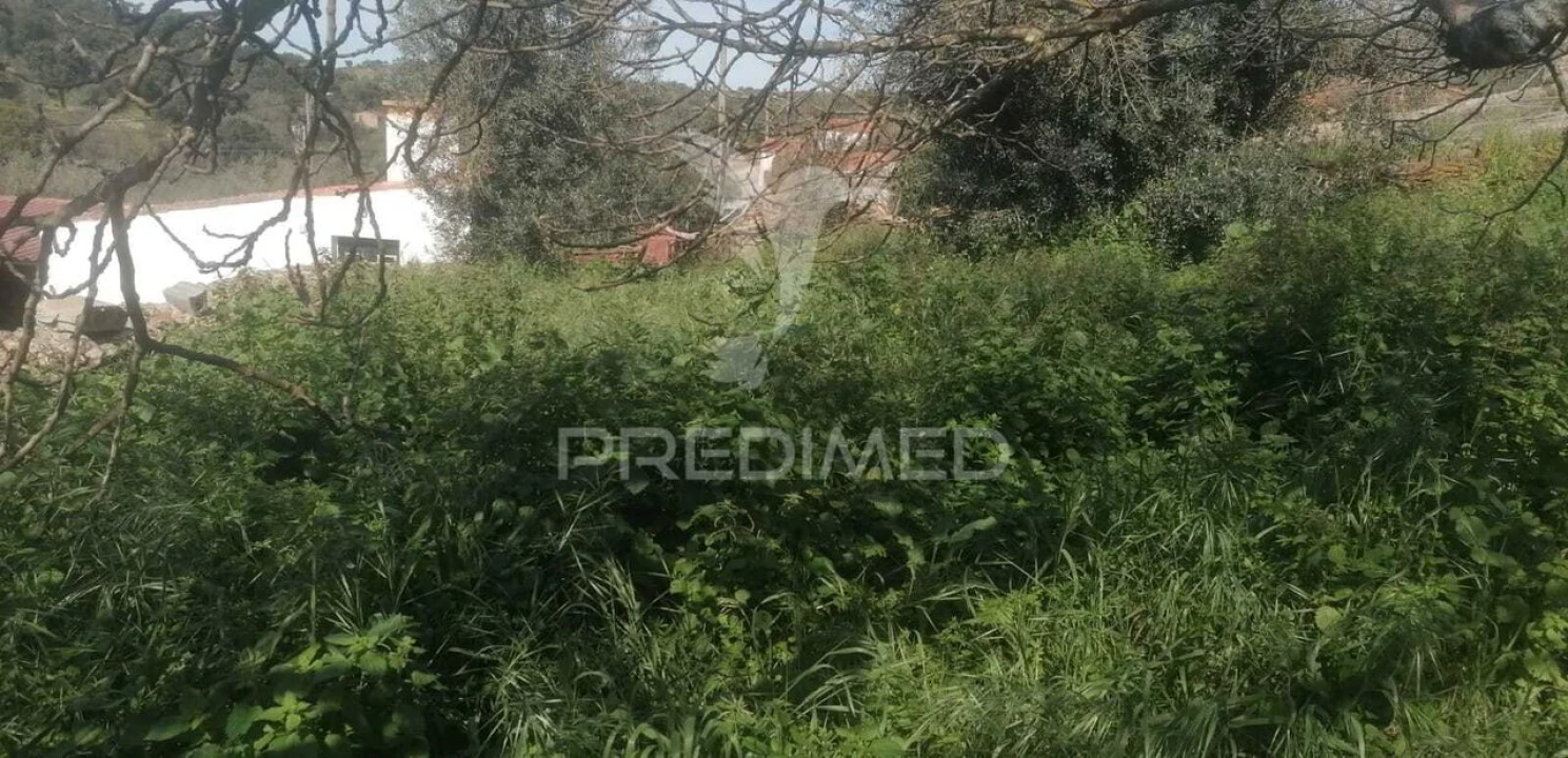 Moradia T3 para Venda em Espírito Santo, Nossa Senhora da Graça e São Simão Foto 13