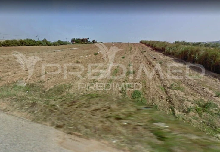 Terreno para Venda em Lourinhã e Atalaia Foto 2