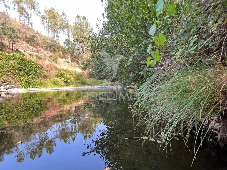 Terreno para Venda em Proença-A-Nova e Peral Foto 24