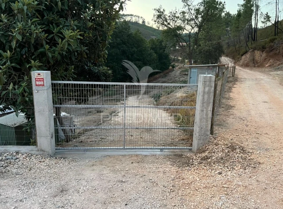 Terreno para Venda em Proença-A-Nova e Peral Foto 31
