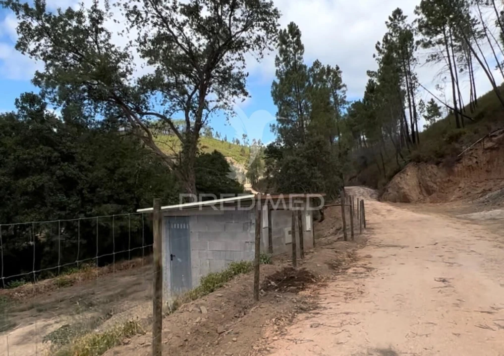 Terreno para Venda em Proença-A-Nova e Peral Foto 30