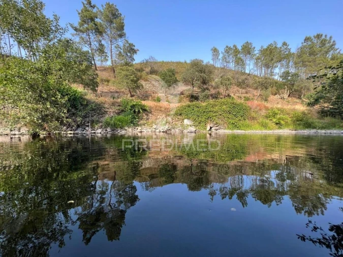 Terreno para Venda em Proença-A-Nova e Peral Foto 1