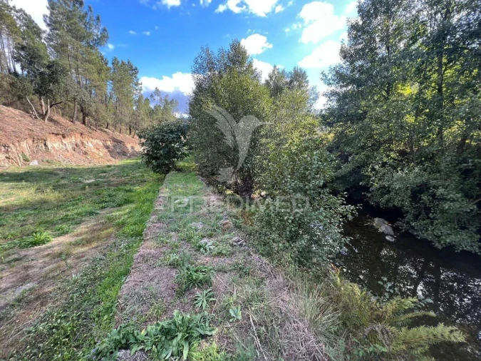 Terreno para Venda em Proença-A-Nova e Peral Foto 22