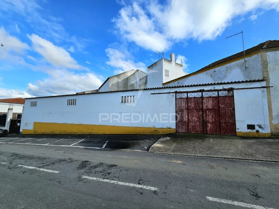 Terreno para Venda em Castro Verde e Casével Foto 1