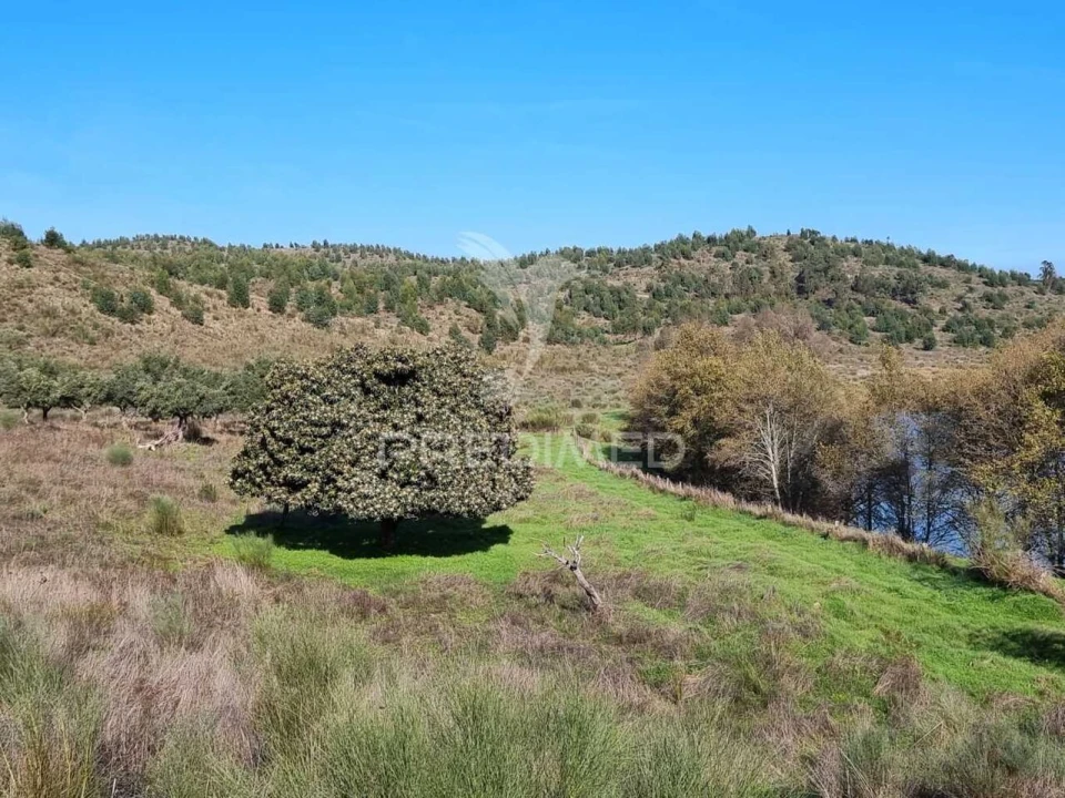 Quinta T0 para Venda em Monfortinho e Salvaterra do Extremo Foto 8